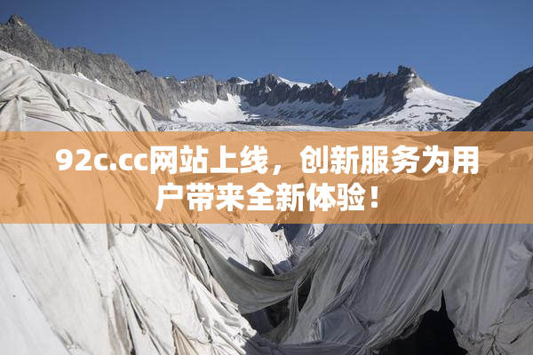 92c.cc网站上线，创新服务为用户带来全新体验！