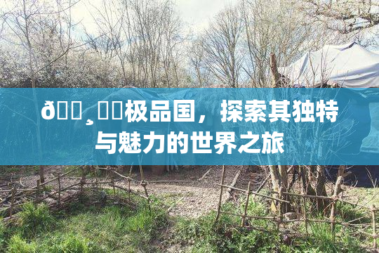 🌸‌✿极品国，探索其独特与魅力的世界之旅