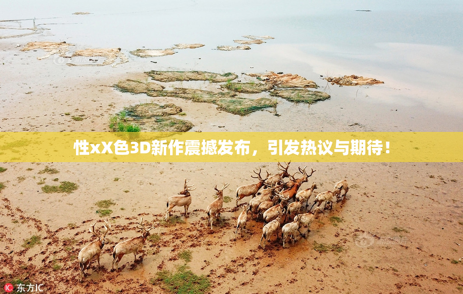 性xX色3D新作震撼发布，引发热议与期待！