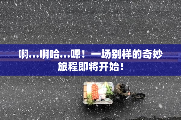 啊…啊哈…嗯！一场别样的奇妙旅程即将开始！