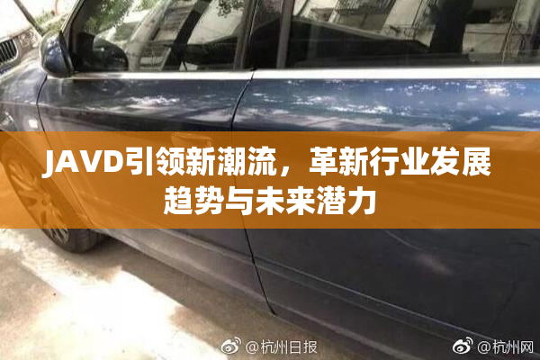 JAVD引领新潮流，革新行业发展趋势与未来潜力