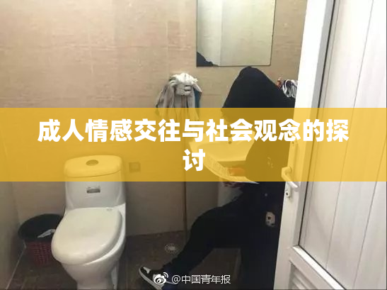 成人情感交往与社会观念的探讨