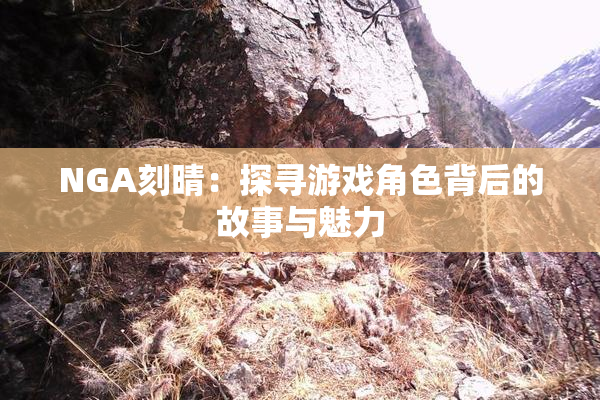 NGA刻晴：探寻游戏角色背后的故事与魅力
