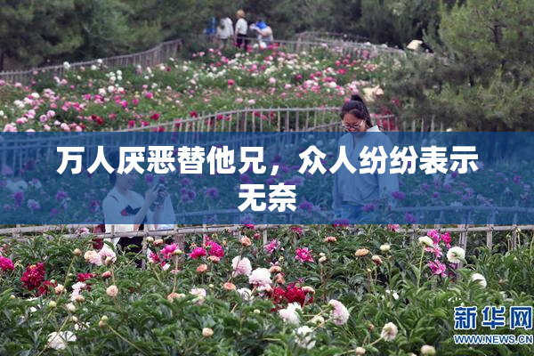 万人厌恶替他兄，众人纷纷表示无奈