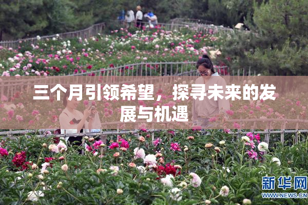 三个月引领希望，探寻未来的发展与机遇