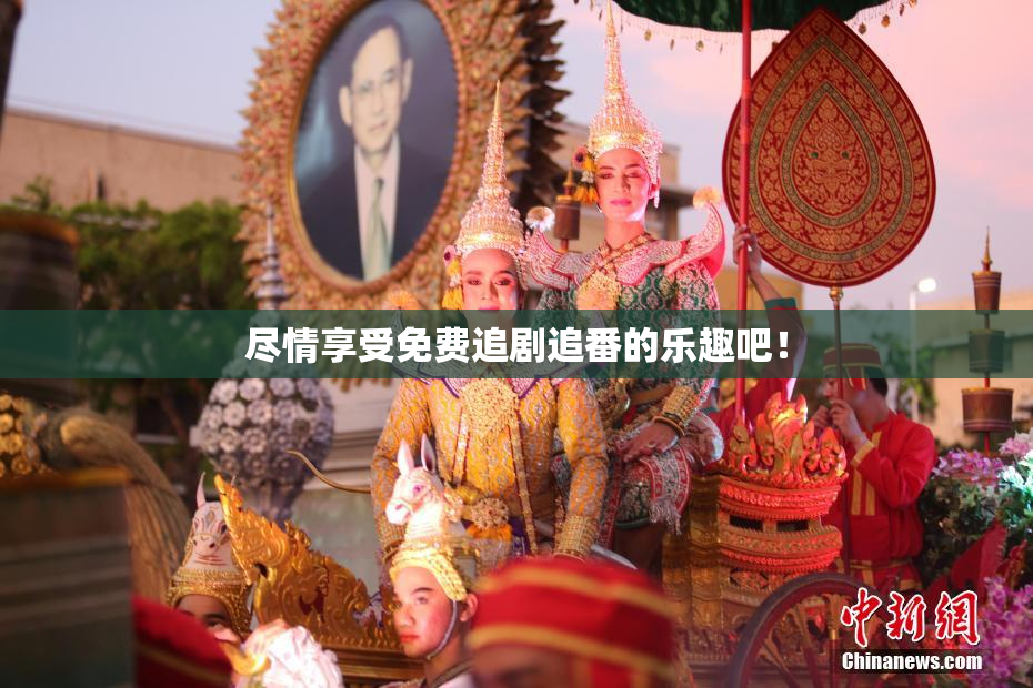 尽情享受免费追剧追番的乐趣吧！