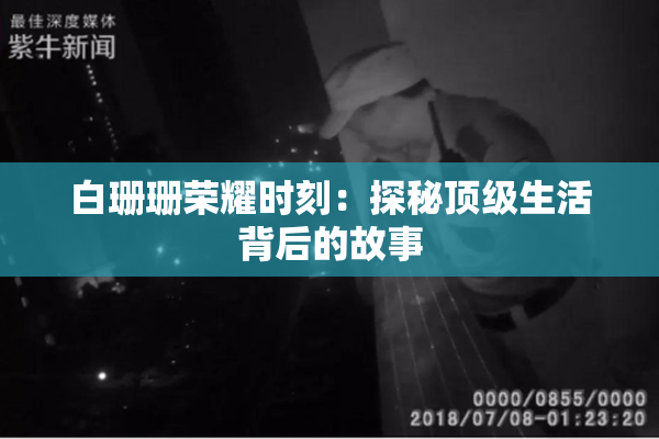 白珊珊荣耀时刻：探秘顶级生活背后的故事
