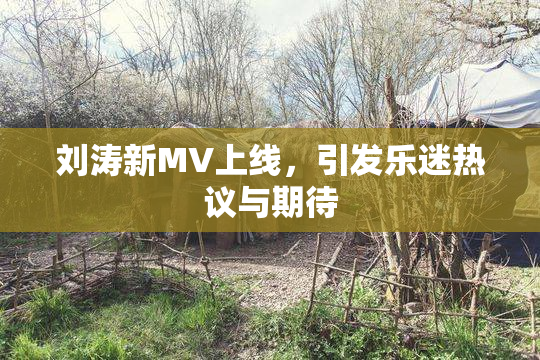 刘涛新MV上线，引发乐迷热议与期待
