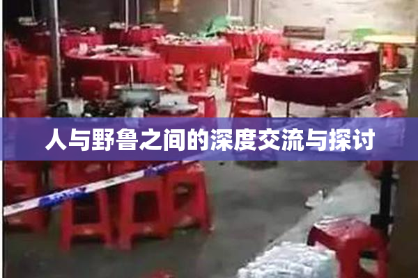 人与野鲁之间的深度交流与探讨