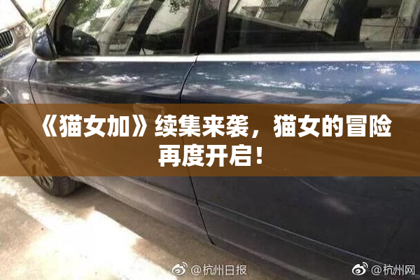 《猫女加》续集来袭，猫女的冒险再度开启！