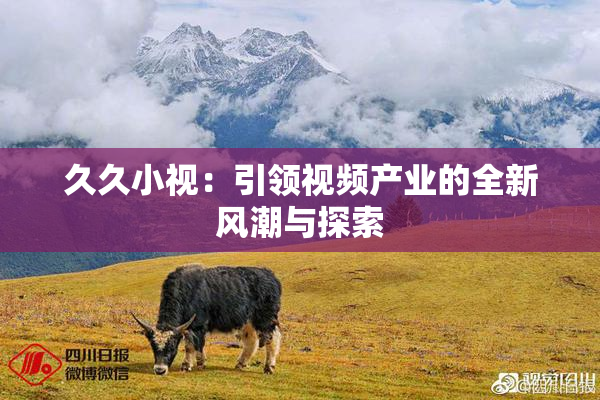 久久小视：引领视频产业的全新风潮与探索