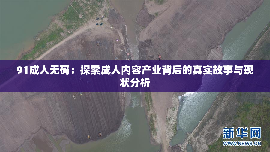 91成人无码：探索成人内容产业背后的真实故事与现状分析