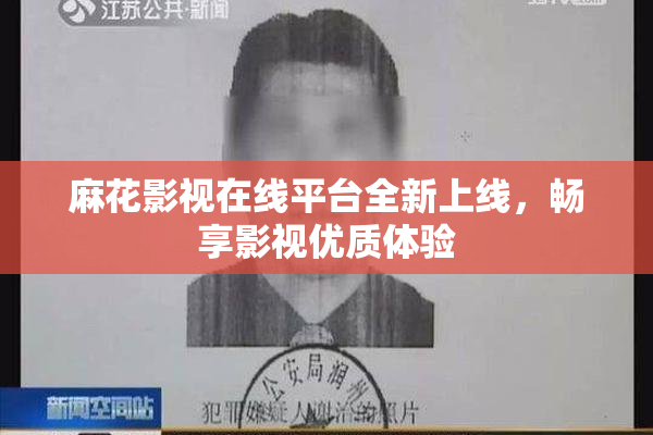 麻花影视在线平台全新上线，畅享影视优质体验