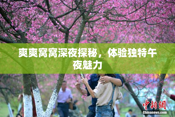爽爽窝窝深夜探秘，体验独特午夜魅力