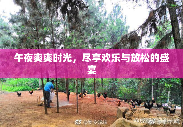 午夜爽爽时光，尽享欢乐与放松的盛宴