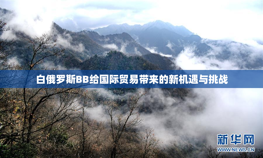 白俄罗斯BB给国际贸易带来的新机遇与挑战