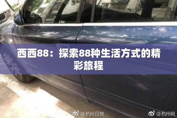 西西88：探索88种生活方式的精彩旅程