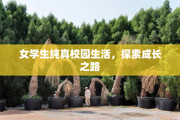 女学生纯真校园生活，探索成长之路