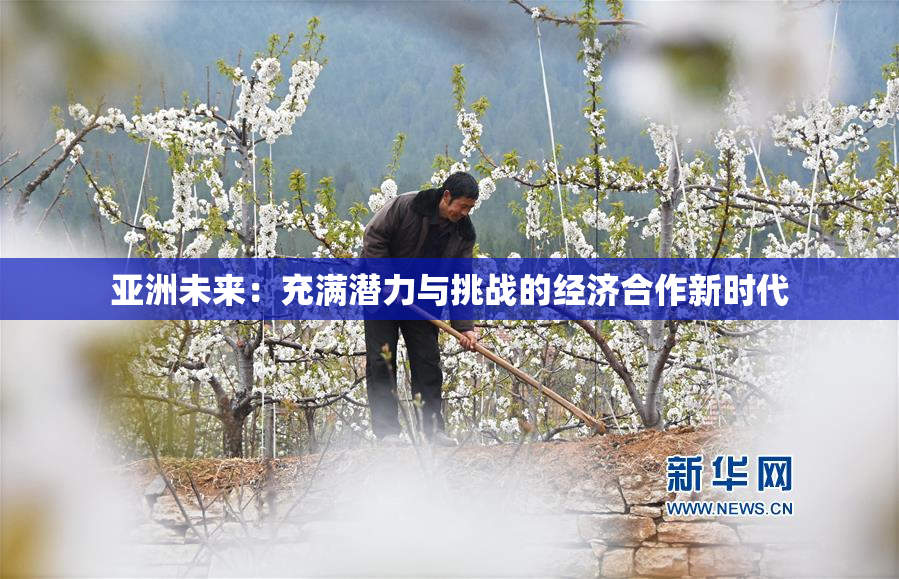 亚洲未来：充满潜力与挑战的经济合作新时代