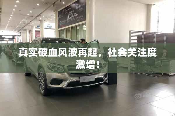 真实破血风波再起，社会关注度激增！