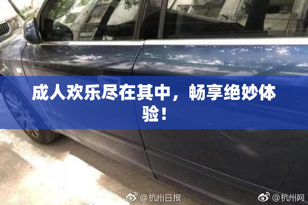 成人欢乐尽在其中，畅享绝妙体验！