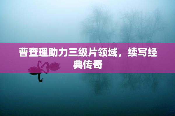 曹查理助力三级片领域，续写经典传奇