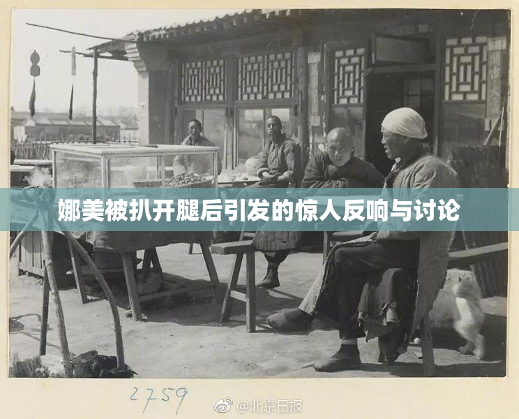 娜美被扒开腿后引发的惊人反响与讨论