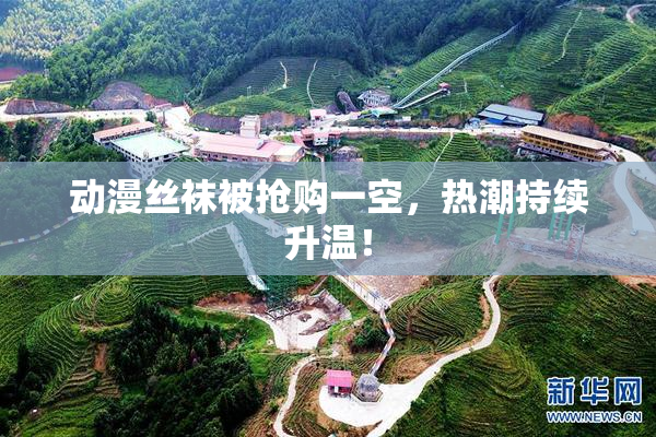 动漫丝袜被抢购一空，热潮持续升温！