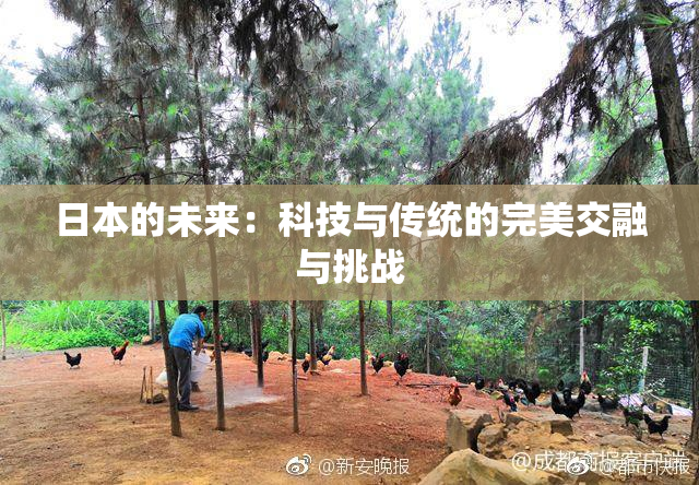 日本的未来：科技与传统的完美交融与挑战