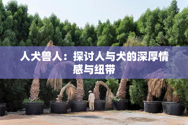 人犬兽人：探讨人与犬的深厚情感与纽带