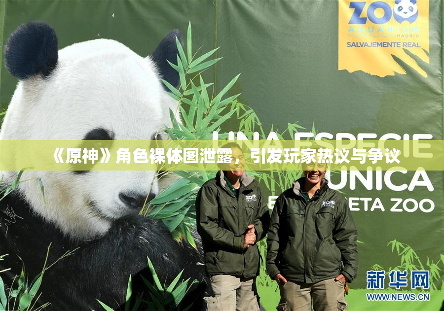 《原神》角色裸体图泄露，引发玩家热议与争议