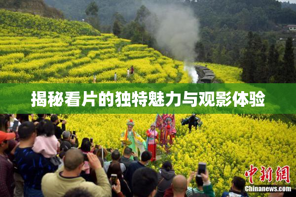 揭秘看片的独特魅力与观影体验