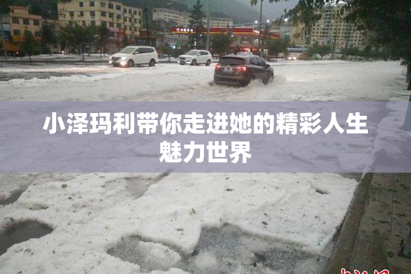 小泽玛利带你走进她的精彩人生魅力世界