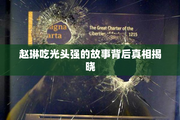 赵琳吃光头强的故事背后真相揭晓