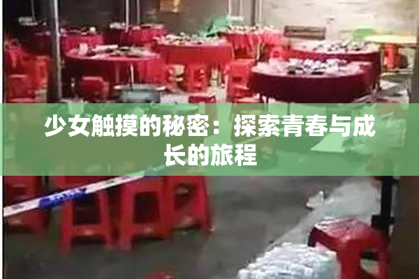 少女触摸的秘密：探索青春与成长的旅程
