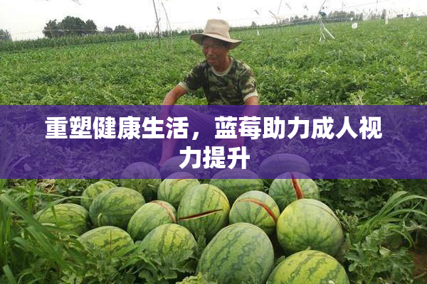 重塑健康生活，蓝莓助力成人视力提升