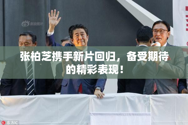 张柏芝携手新片回归，备受期待的精彩表现！