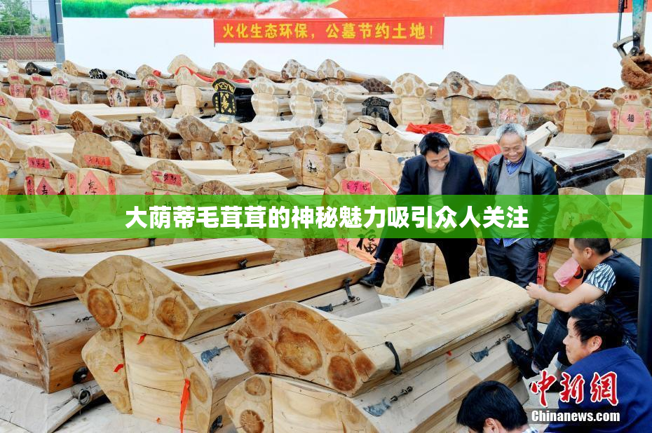 大荫蒂毛茸茸的神秘魅力吸引众人关注