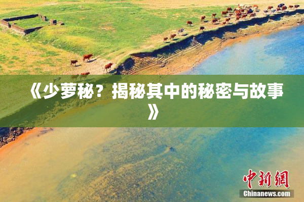 《少萝秘？揭秘其中的秘密与故事》