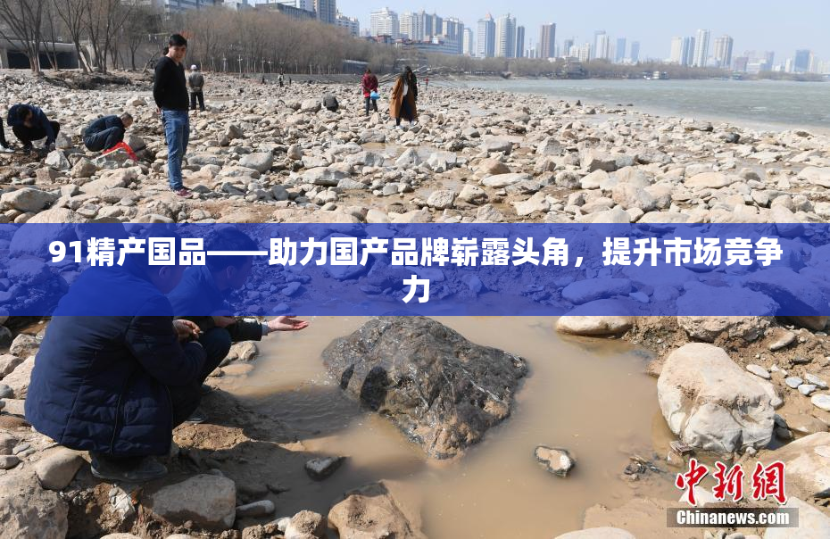 91精产国品——助力国产品牌崭露头角，提升市场竞争力