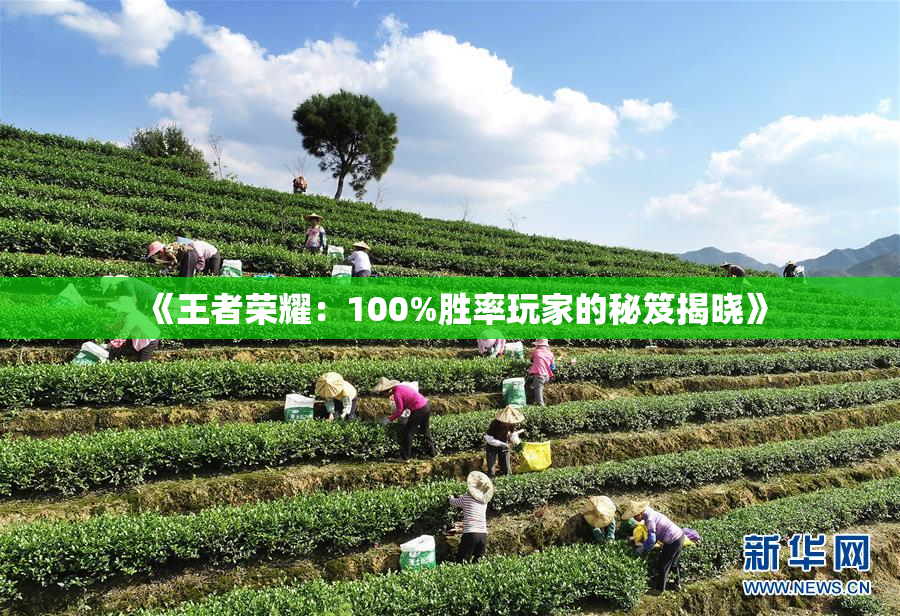 《王者荣耀：100%胜率玩家的秘笈揭晓》