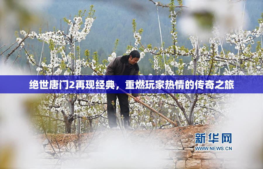 绝世唐门2再现经典，重燃玩家热情的传奇之旅