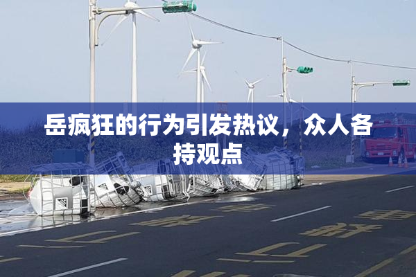 岳疯狂的行为引发热议，众人各持观点