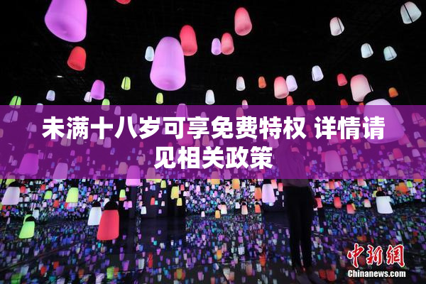 未满十八岁可享免费特权 详情请见相关政策