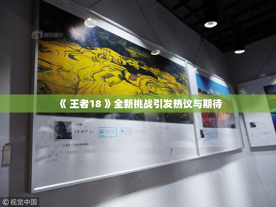 《 王者18 》全新挑战引发热议与期待