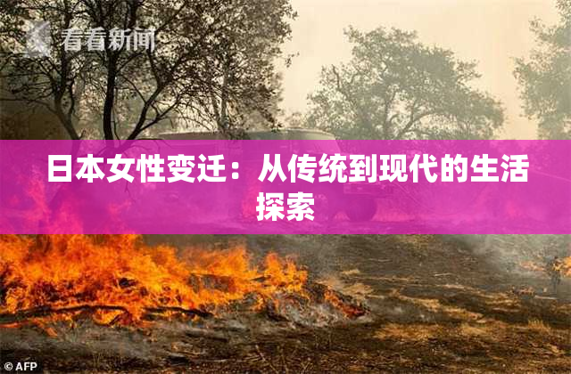 日本女性变迁：从传统到现代的生活探索