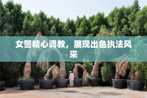 女警精心调教，展现出色执法风采