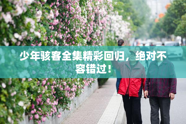 少年骇客全集精彩回归，绝对不容错过！