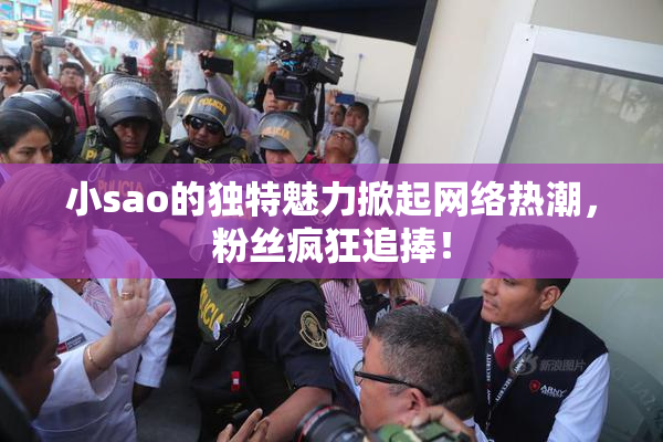 小sao的独特魅力掀起网络热潮，粉丝疯狂追捧！