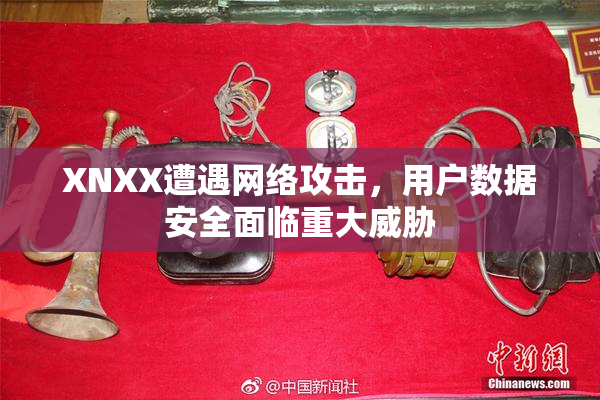 XNXX遭遇网络攻击，用户数据安全面临重大威胁